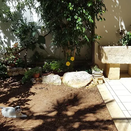 Federico Ii לינה וארוחת בוקר 4*