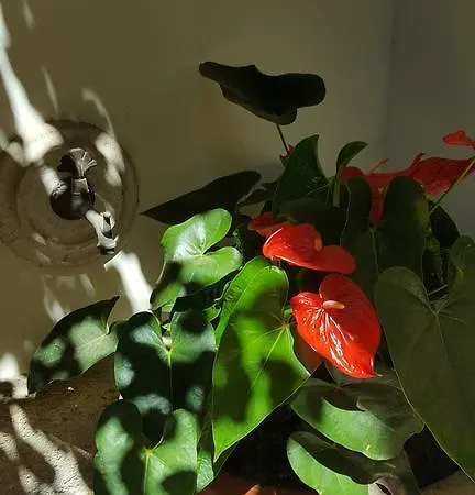 Federico Ii Bed & Breakfast Brindisi